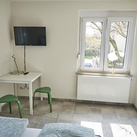 Greenhome Loerrach -Ihre Unterkunft Im 3-Laendereck- Lörrach Exterior foto