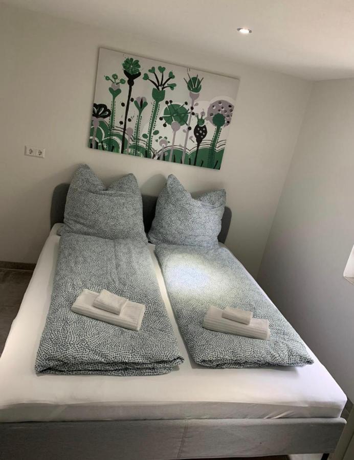 Greenhome Loerrach -Ihre Unterkunft Im 3-Laendereck- Lörrach Quarto foto