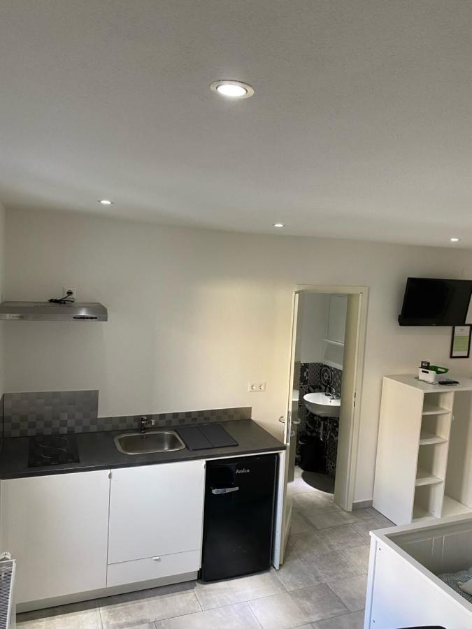 Greenhome Loerrach -Ihre Unterkunft Im 3-Laendereck- Lörrach Exterior foto