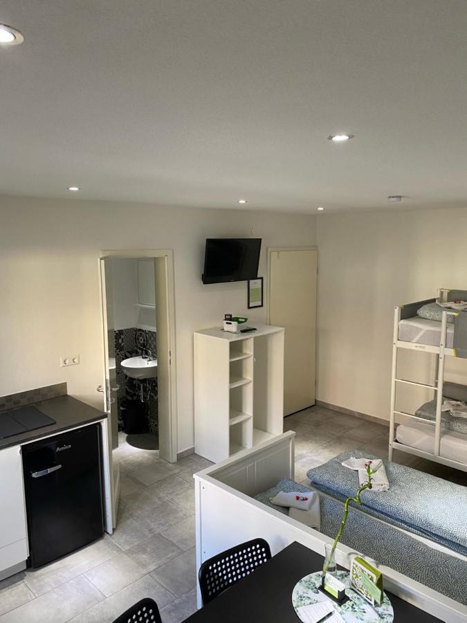 Greenhome Loerrach -Ihre Unterkunft Im 3-Laendereck- Lörrach Exterior foto